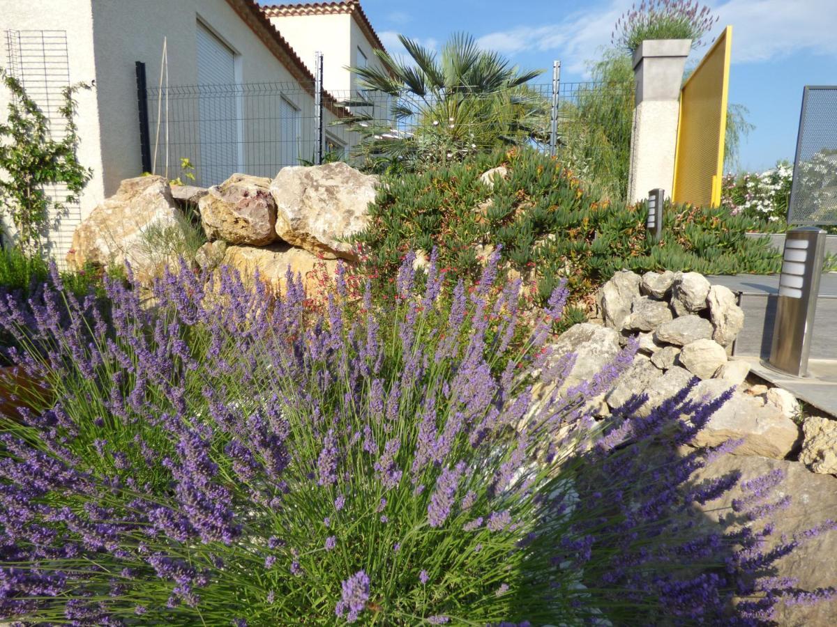 La Villa Du Saule Salles-dʼAude Εξωτερικό φωτογραφία
